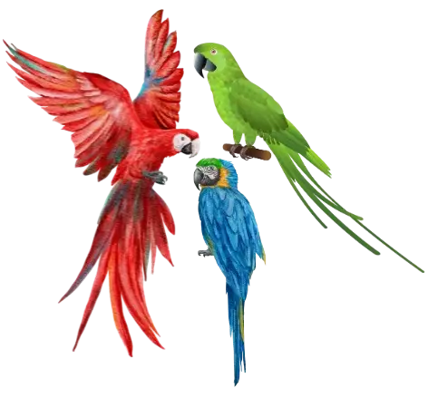 Parrot FarmHouse logo