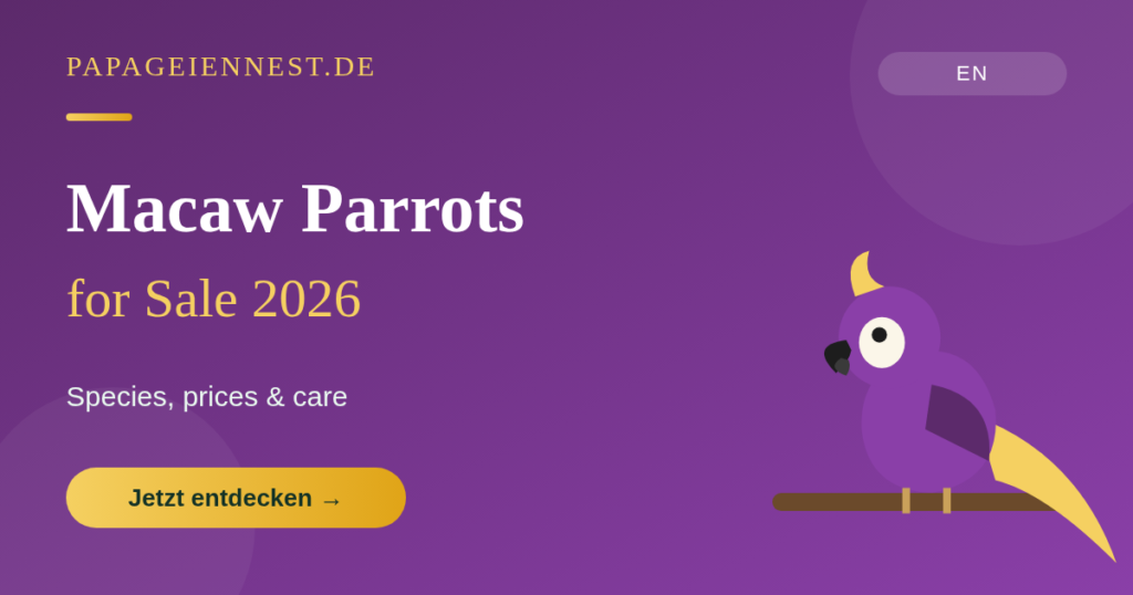 Macaw Parrots for Sale 2026 | Species, Prices & Care