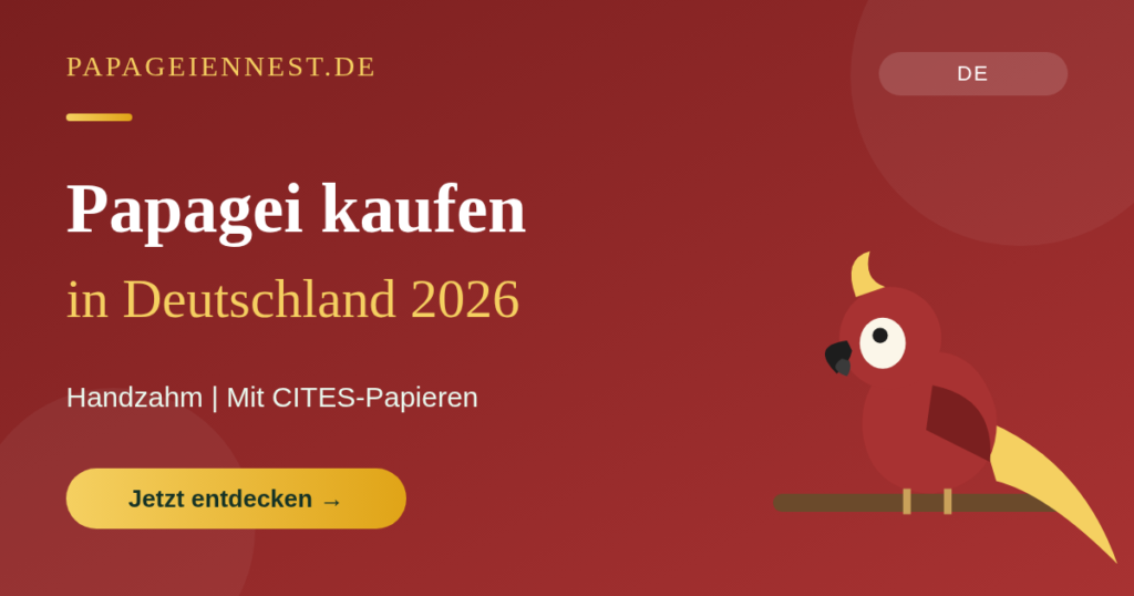 Papagei kaufen 2026 | Handzahme Papageien aus Deutschland