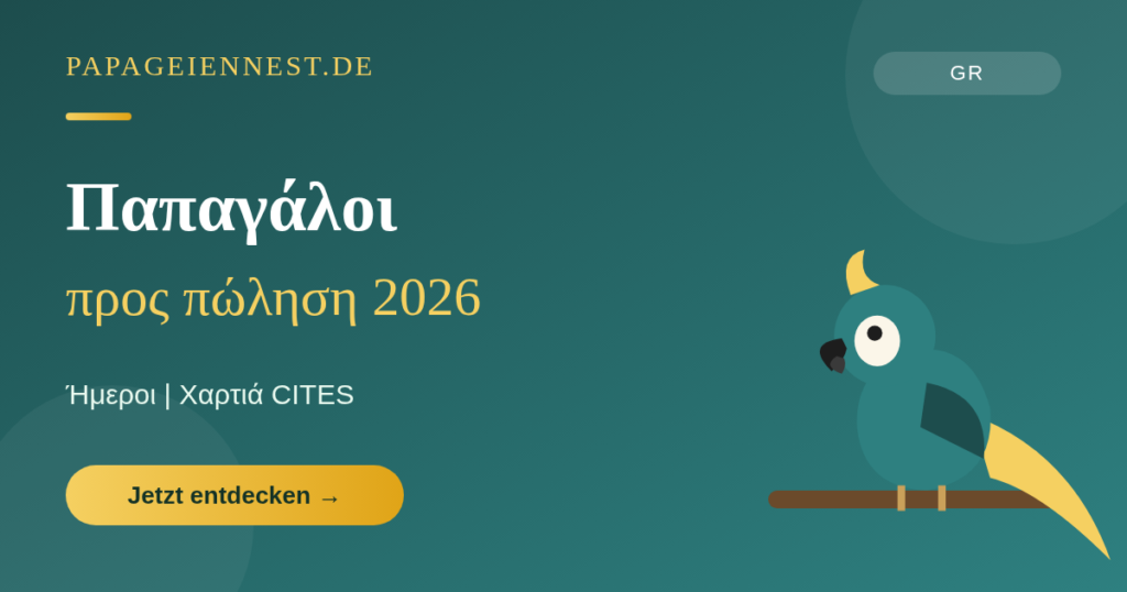 Παπαγάλος προς πώληση 2026 | Ήμεροι παπαγάλοι & αυγά